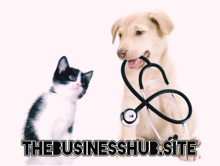 Pet Insurance coverage Best Info By Businesshub 2025