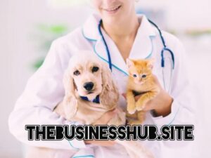 Pet Insurance coverage Best Info By Businesshub 2025