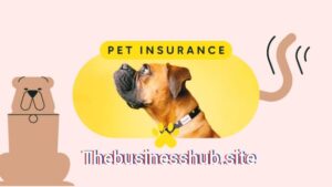 Pet Insurance coverage Best Info By Businesshub 2025