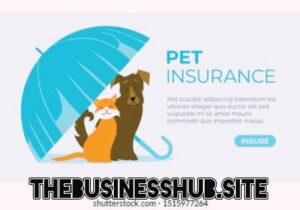 Pet Insurance coverage Best Info By Businesshub 2025