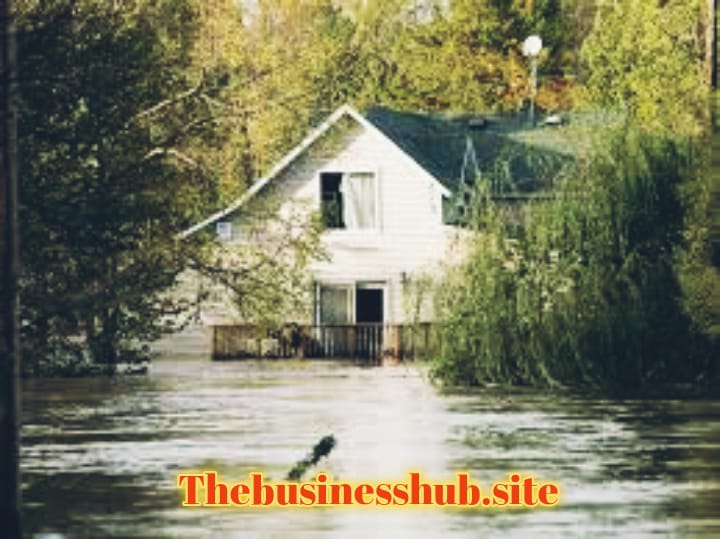 Flood Insurance Your Lifesaver in Occasions of Disaster 2025